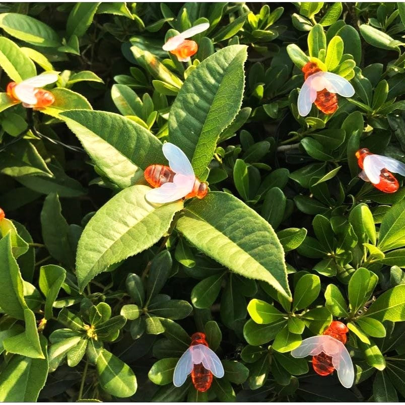 Instalatie LED Albinuta Liniara SOLARA 50 LED-uri 6.5m