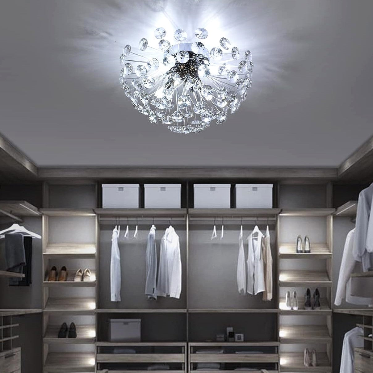 Lustra Aplicata Crystal Dandelion Silver