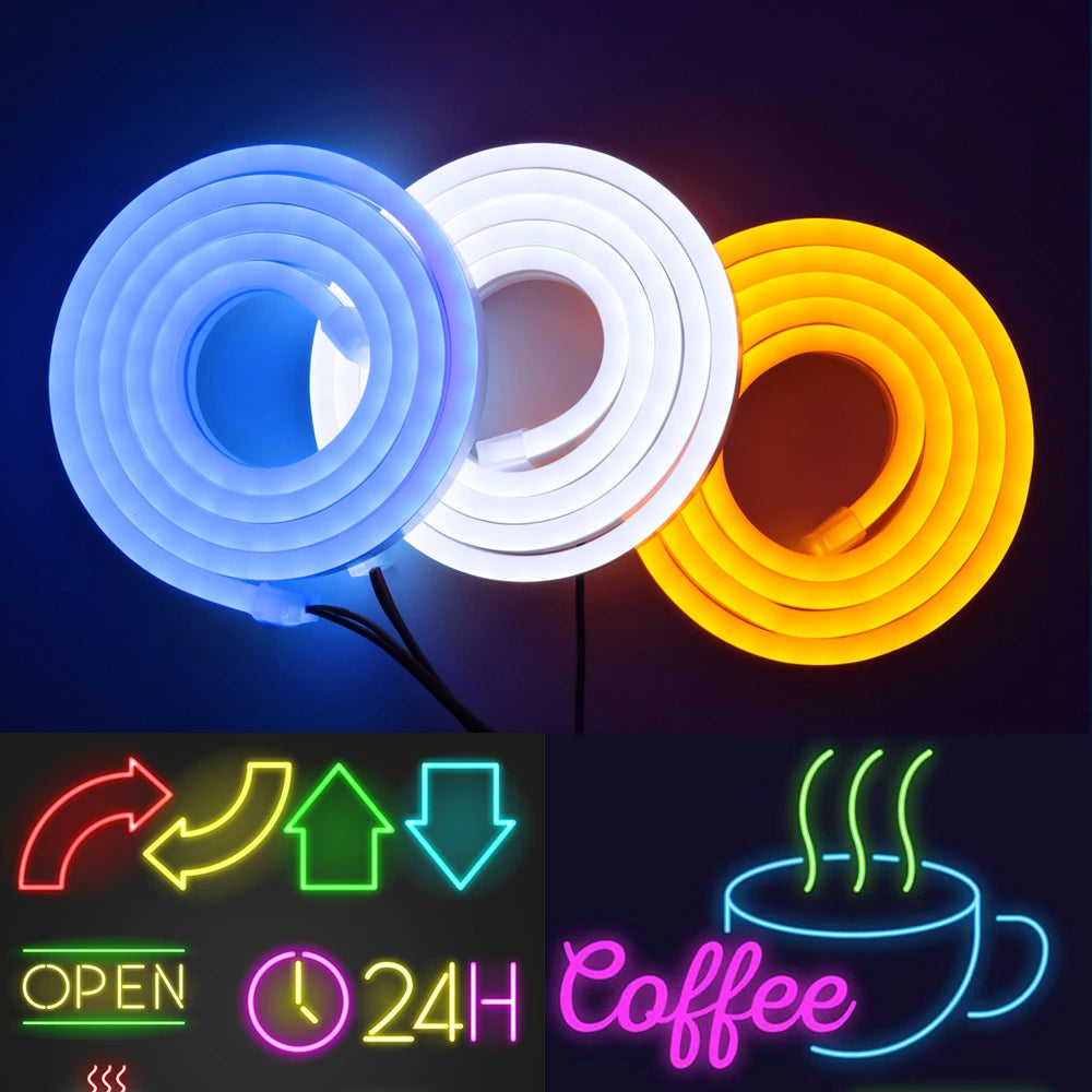 Neon Flex LED 12V Diverse Culori
