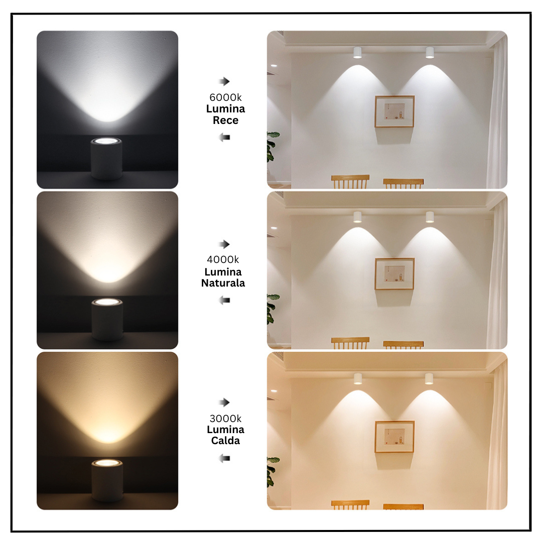 Spot Aplicat Rotund Fascicul Reglabil Alb Dulie GU10 Ø80x100mm