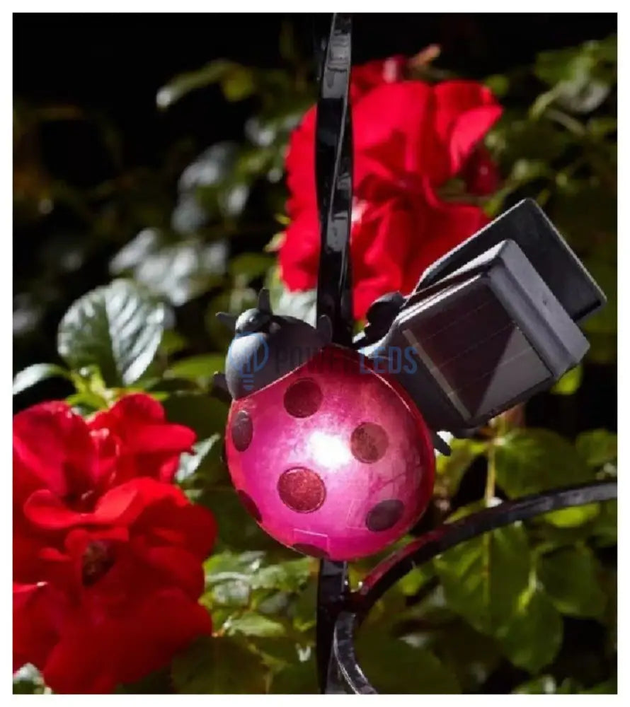 Gargarita Cu Incarcare Solara Ladybug Rgb Solar Lamp