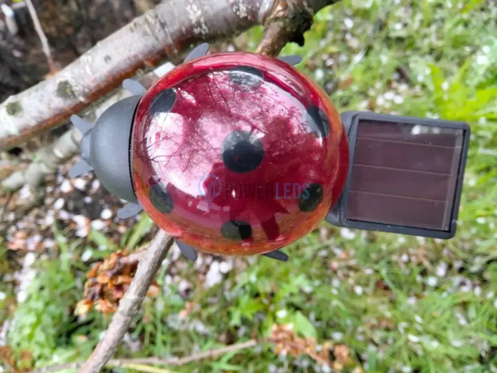 Gargarita Cu Incarcare Solara Ladybug Rgb Solar Lamp