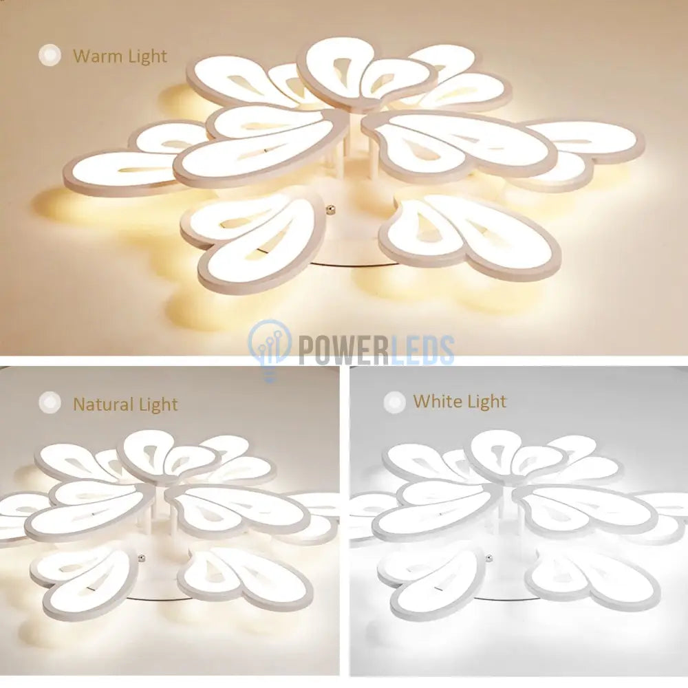 Lustra Led Clio Grande Telecomanda Echivalent 800W Lighting Fixtures