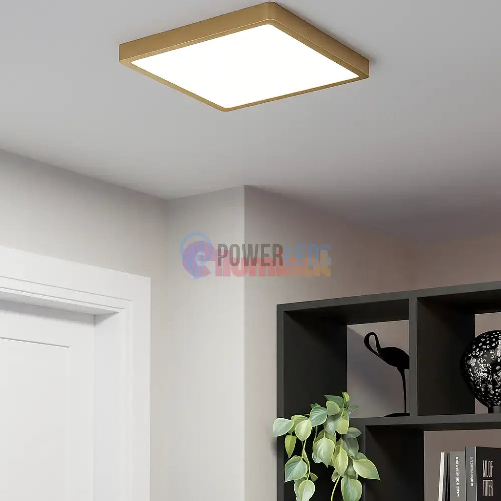 Aplică/Plafonieră FUEVA 5 LED 20.5W Auriu powerleds.ro