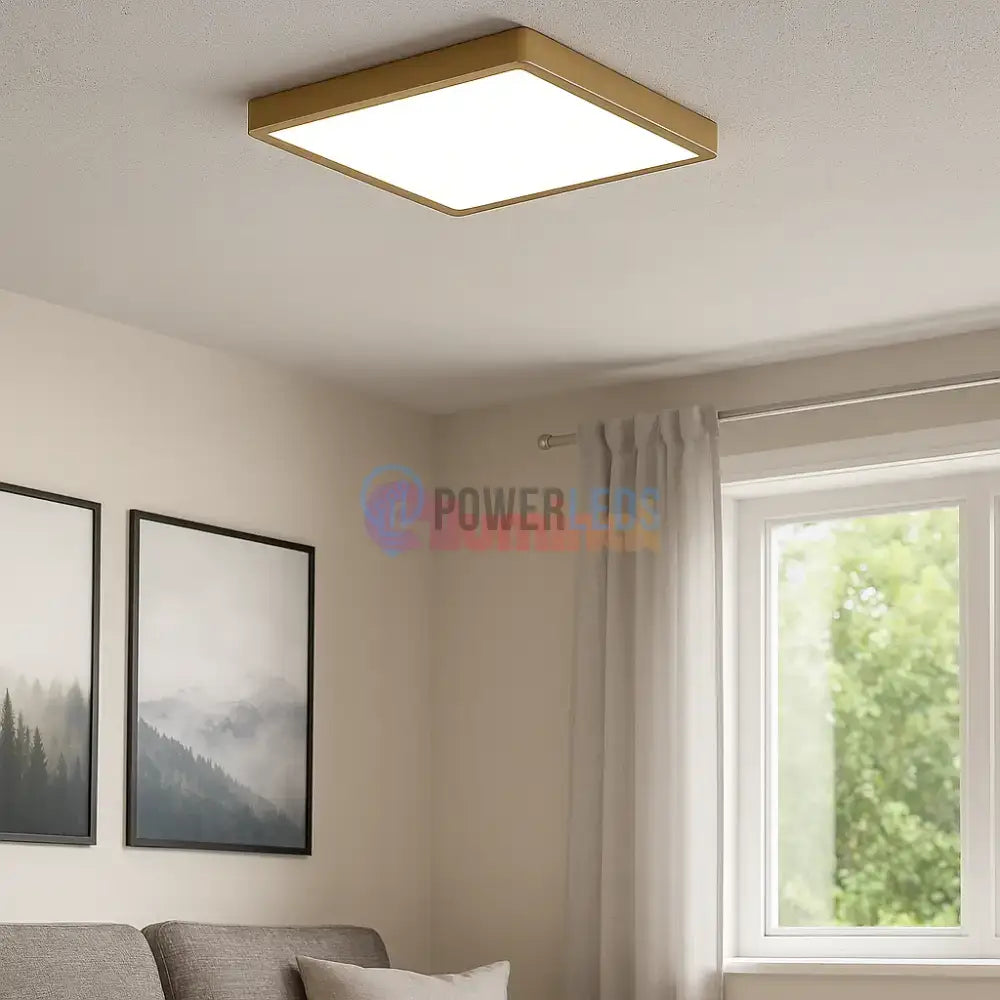 Aplică/Plafonieră FUEVA 5 LED 20.5W Auriu powerleds.ro
