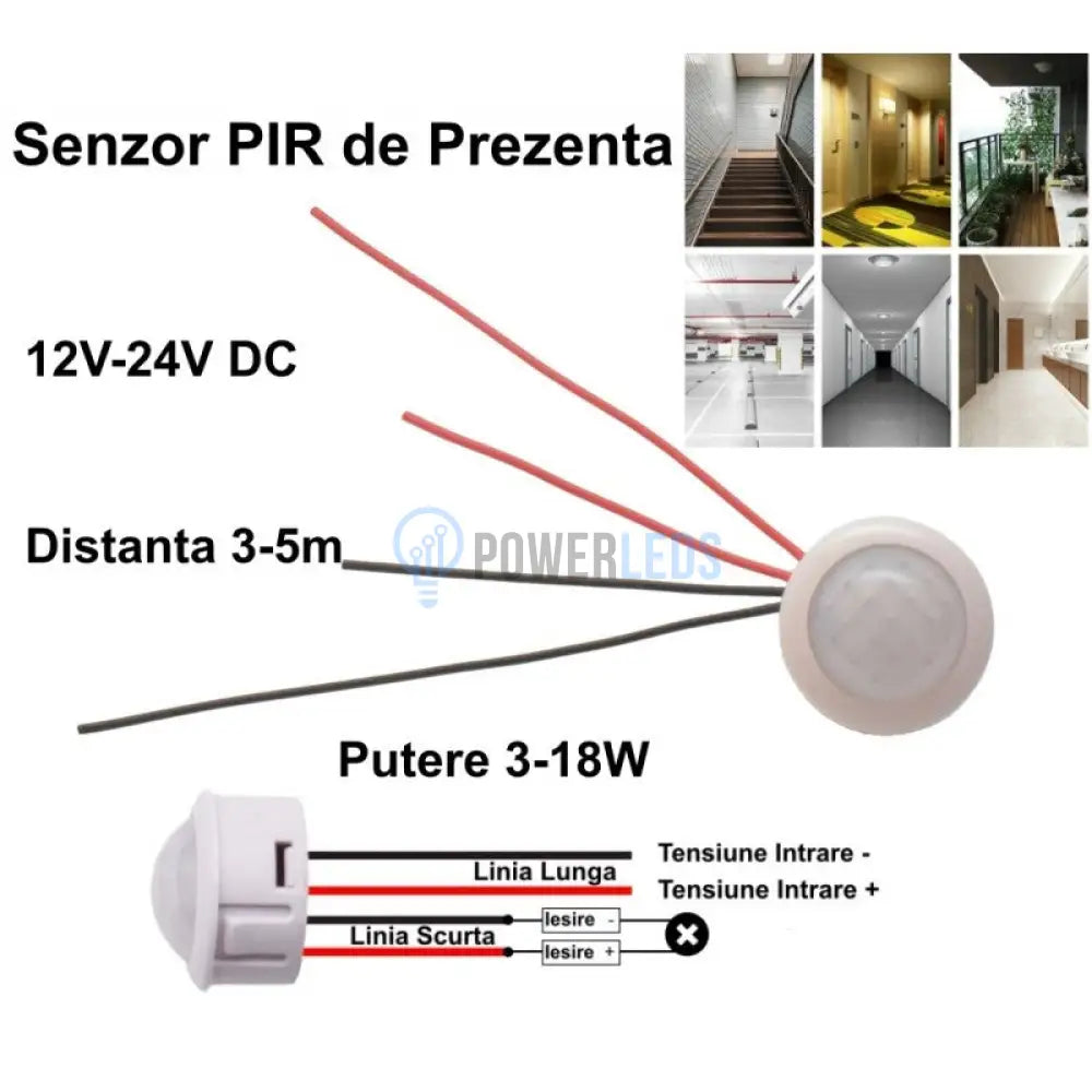 Senzor De Miscare Pir 12V-24V