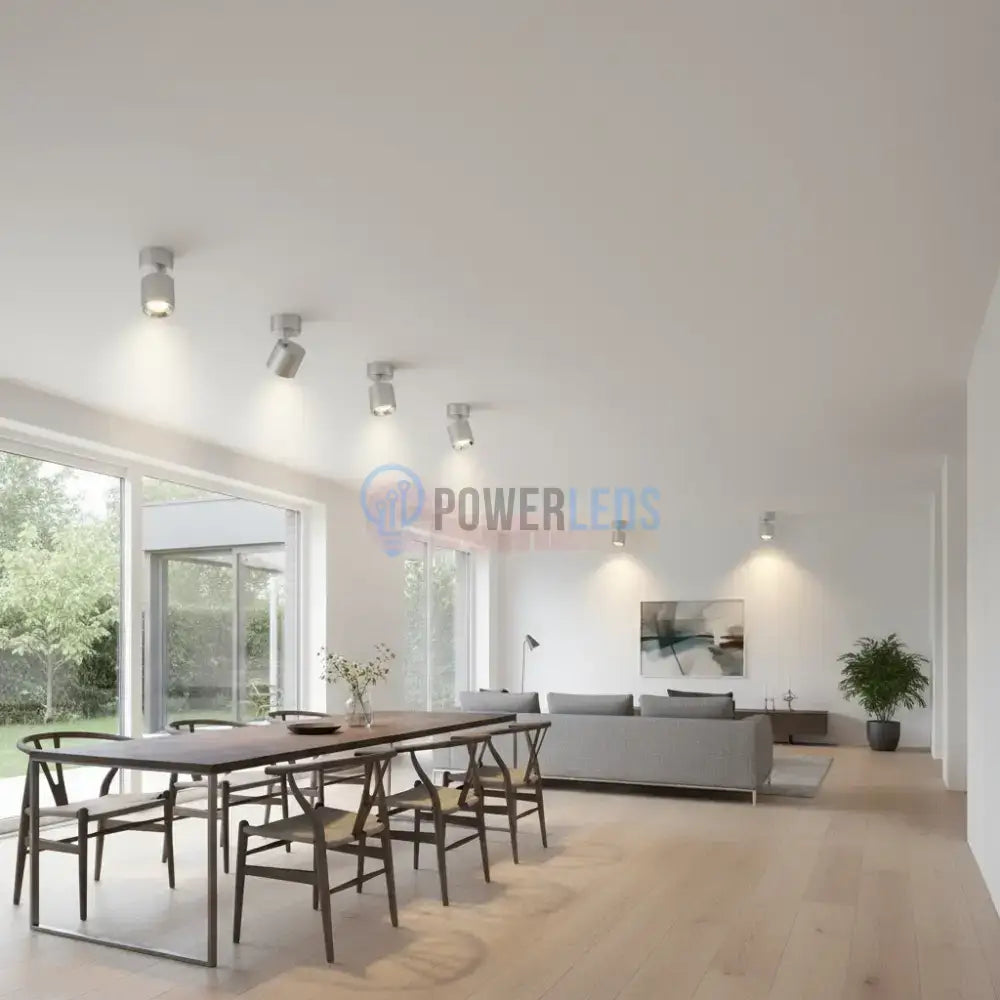 Spot LED Cilindric Aplicat Argintiu Dulie GU10 Ø8.7x12CM led ceiling light