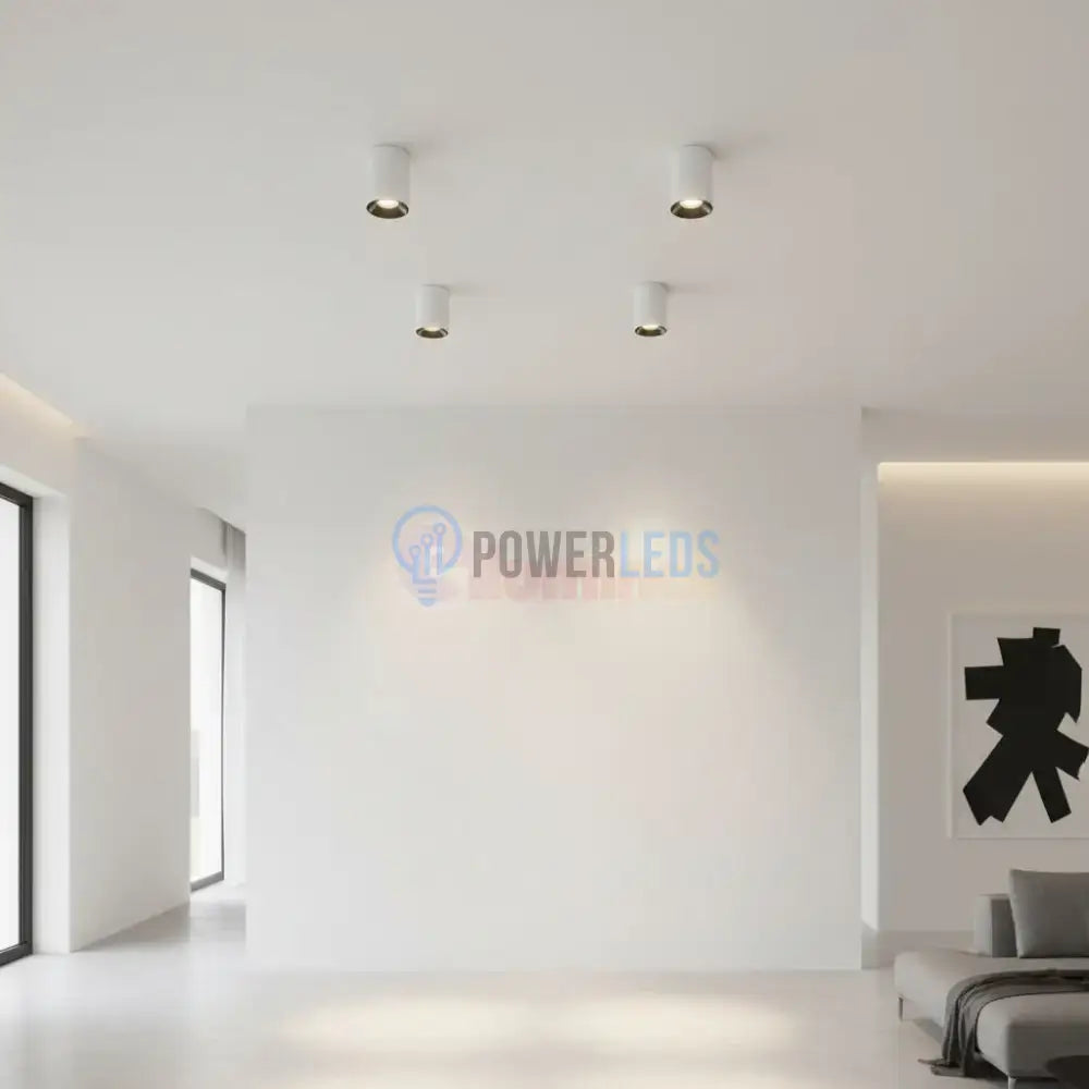 Spot Aplicat Rotund Alb & Negru Dulie GU10 Ø80x117mm led ceiling light