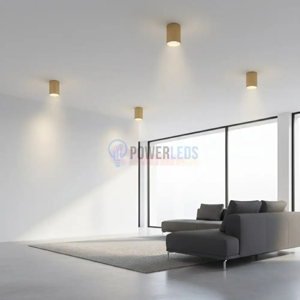 Spot Aplicat Rotund Auriu Dulie GU10 Ø55x102mm led ceiling light