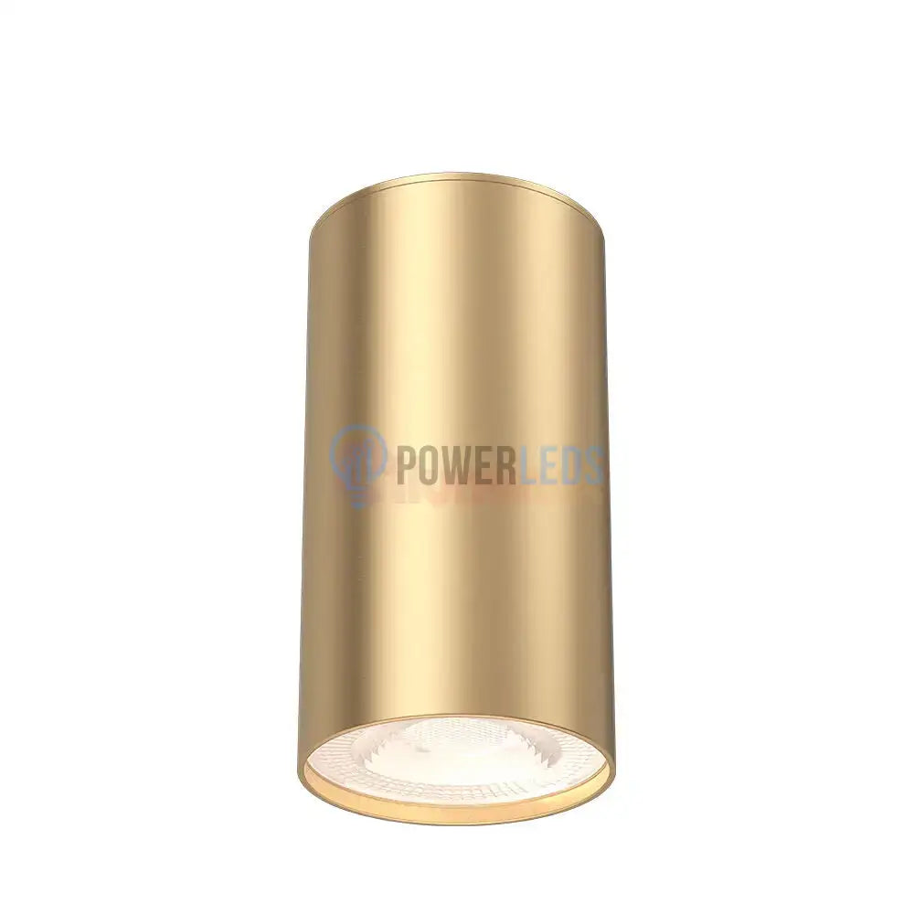 Spot Aplicat Rotund Auriu Dulie GU10 Ø55x102mm led ceiling light