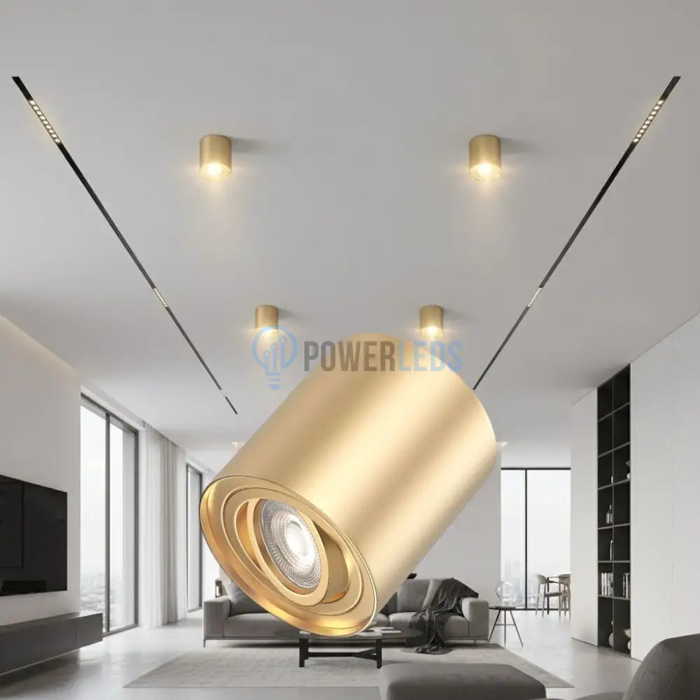 Spot Aplicat Rotund Fascicul Reglabil Auriu Dulie GU10 Ø80x100mm led ceiling light