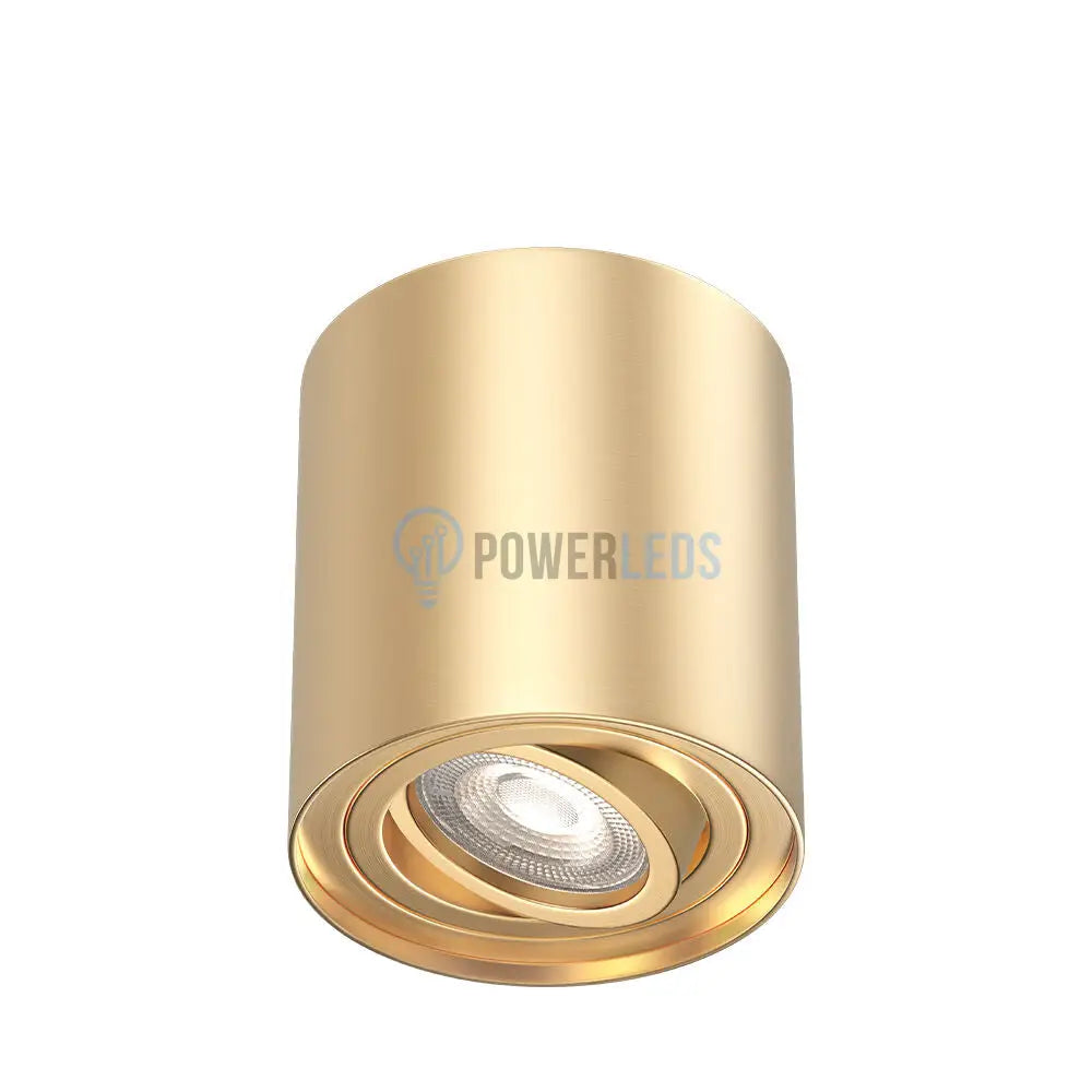 Spot Aplicat Rotund Fascicul Reglabil Auriu Dulie GU10 Ø80x100mm led ceiling light