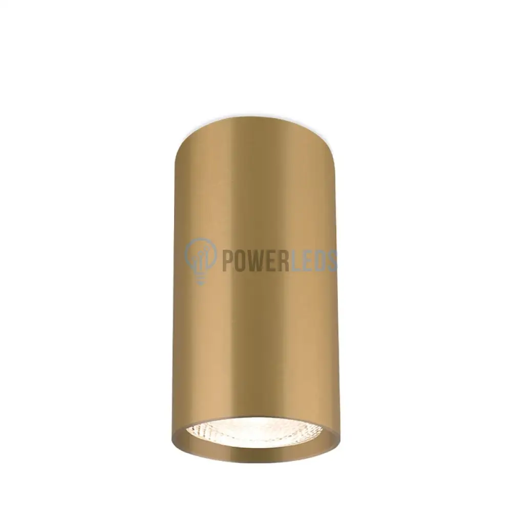 Spot Cilindric Aplicat GAMA Gold 10cm powerleds.ro